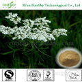 natural osthol from herbal medicine of alibaba china supplier